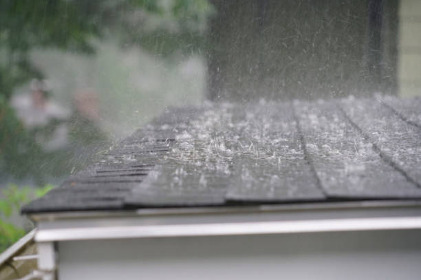 Best Roof Coating and Sealing  in Ore City, TX