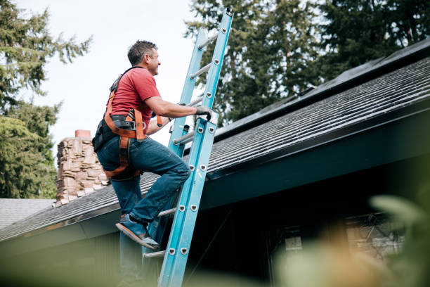 Best Gutter Installation and Repair  in Ore City, TX